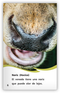 Los venados from Fábulas y el Mundo Real