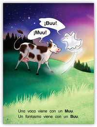 Los zapatos vienen en pares