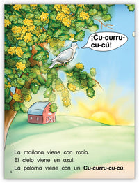 Los zapatos vienen en pares