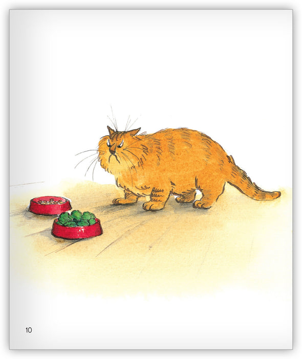 Lunch for Greedy Cat Leveled Book