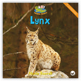 Lynx from Zoozoo Animal World