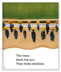 Making Shadows from Kid Lit