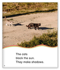 Making Shadows from Kid Lit