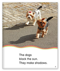 Making Shadows from Kid Lit