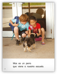 Max, nuestro perro escolar