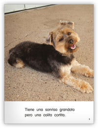 Max, nuestro perro escolar