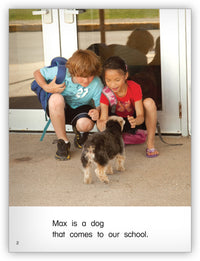 Max, Our School Dog from Kaleidoscope Collection