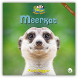 Meerkat from Zoozoo Animal World