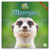 Meerkat from Zoozoo Animal World