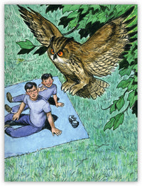 Mirando las estrellas