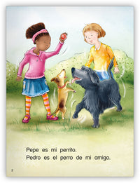 Mojados, mojados, mojados