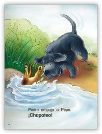 Mojados, mojados, mojados