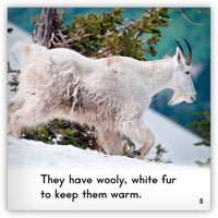 Mountain Goat Leveled Book