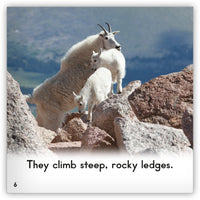Mountain Goat Leveled Book