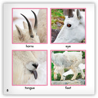 Mountain Goat Leveled Book