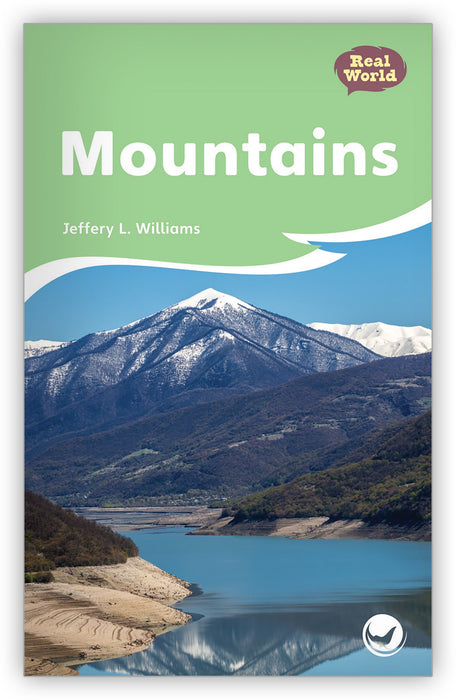 Mountains Leveled Book