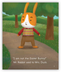 Mr. Rabbit's New Shirt from Joy Cowley Early Birds