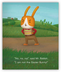 Mr. Rabbit's New Shirt from Joy Cowley Early Birds