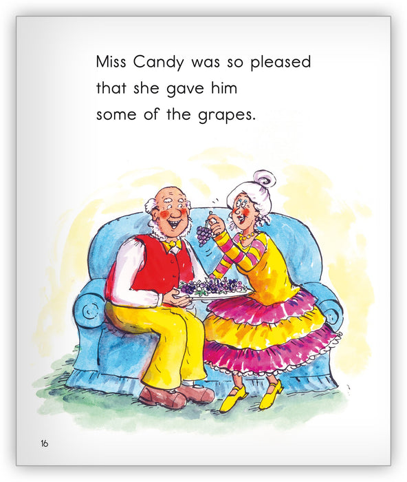 Mr. Whisper and Miss Candy from Joy Cowley Collection