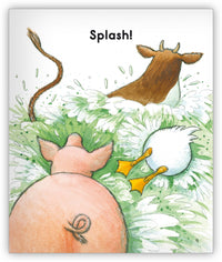 Mrs. Wishy-Washy and the Big Tub Leveled Book