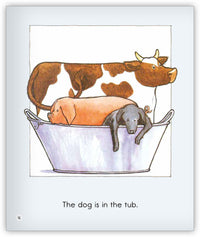 Mrs. Wishy-Washy's Tub