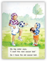 My Big Sister Big Book