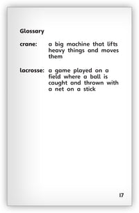 Nets for Work and Play Leveled Book