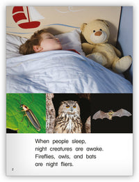 Night Fliers from Kaleidoscope Collection