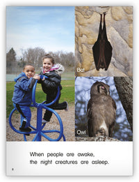 Night Fliers from Kaleidoscope Collection