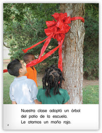 Nuestro árbol