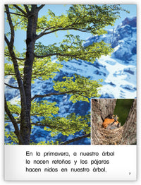 Nuestro árbol