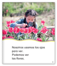 Nuestros cinco sentidos