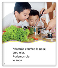 Nuestros cinco sentidos