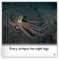 Octopus Leveled Book