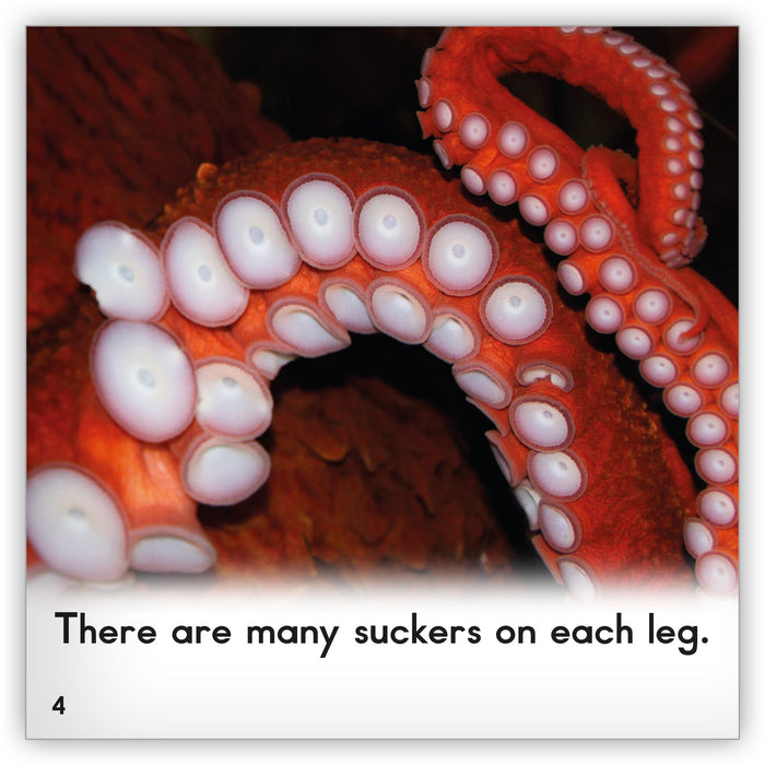 Octopus Leveled Book
