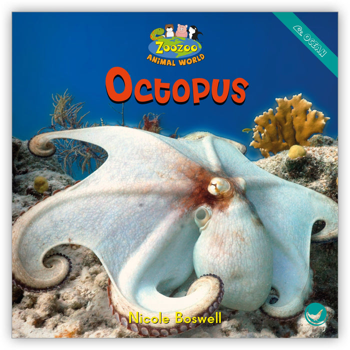 Octopus from Zoozoo Animal World