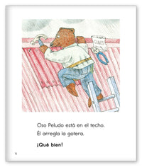 Oso Peludo en el techo from Colección Joy Cowley