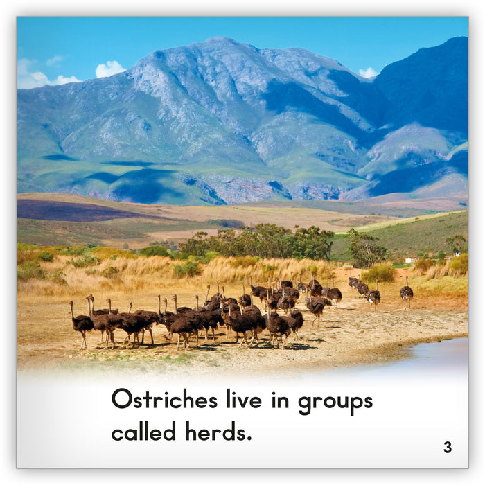 Ostrich Leveled Book