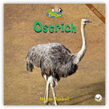 Ostrich from Zoozoo Animal World