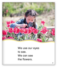 Our Five Senses from Kid Lit