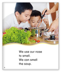 Our Five Senses from Kid Lit