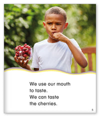 Our Five Senses from Kid Lit