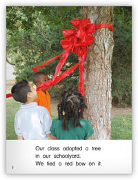 Our Tree from Kaleidoscope Collection