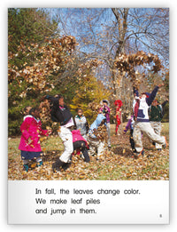 Our Tree from Kaleidoscope Collection