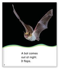 Out at Night from Kid Lit