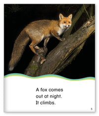 Out at Night from Kid Lit