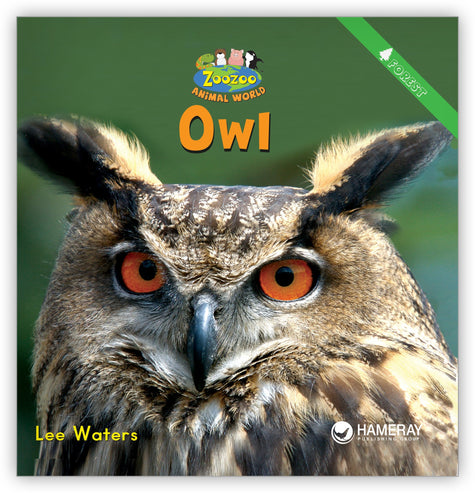 Owl from Zoozoo Animal World