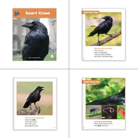 Paired Text Collection (6-Packs)