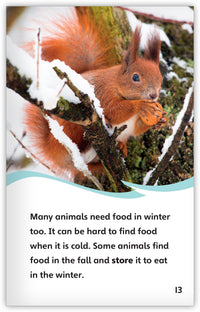 The Duck and the North Wind Theme Set