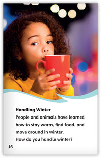 The Duck and the North Wind Theme Set